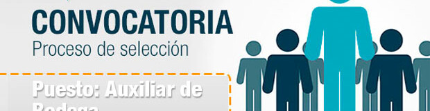 Proceso de Selección – febrero 2019